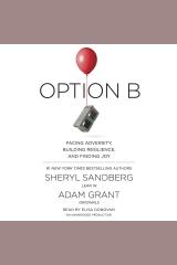 Option B