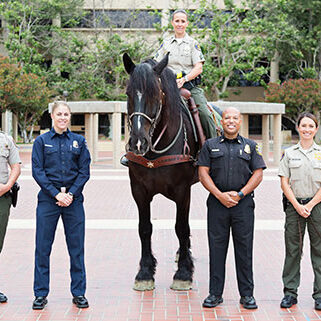 Public Safety Employment Opportunities