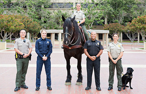 Public Safety Employment Opportunities